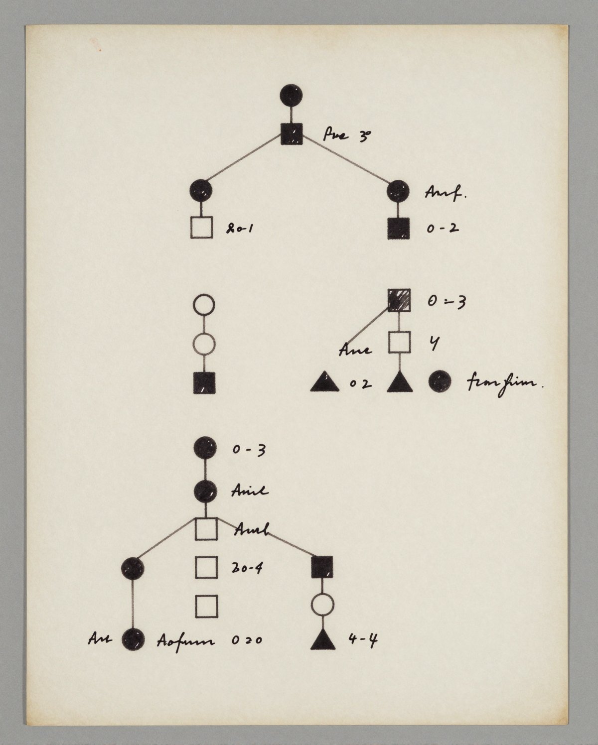 The family tree