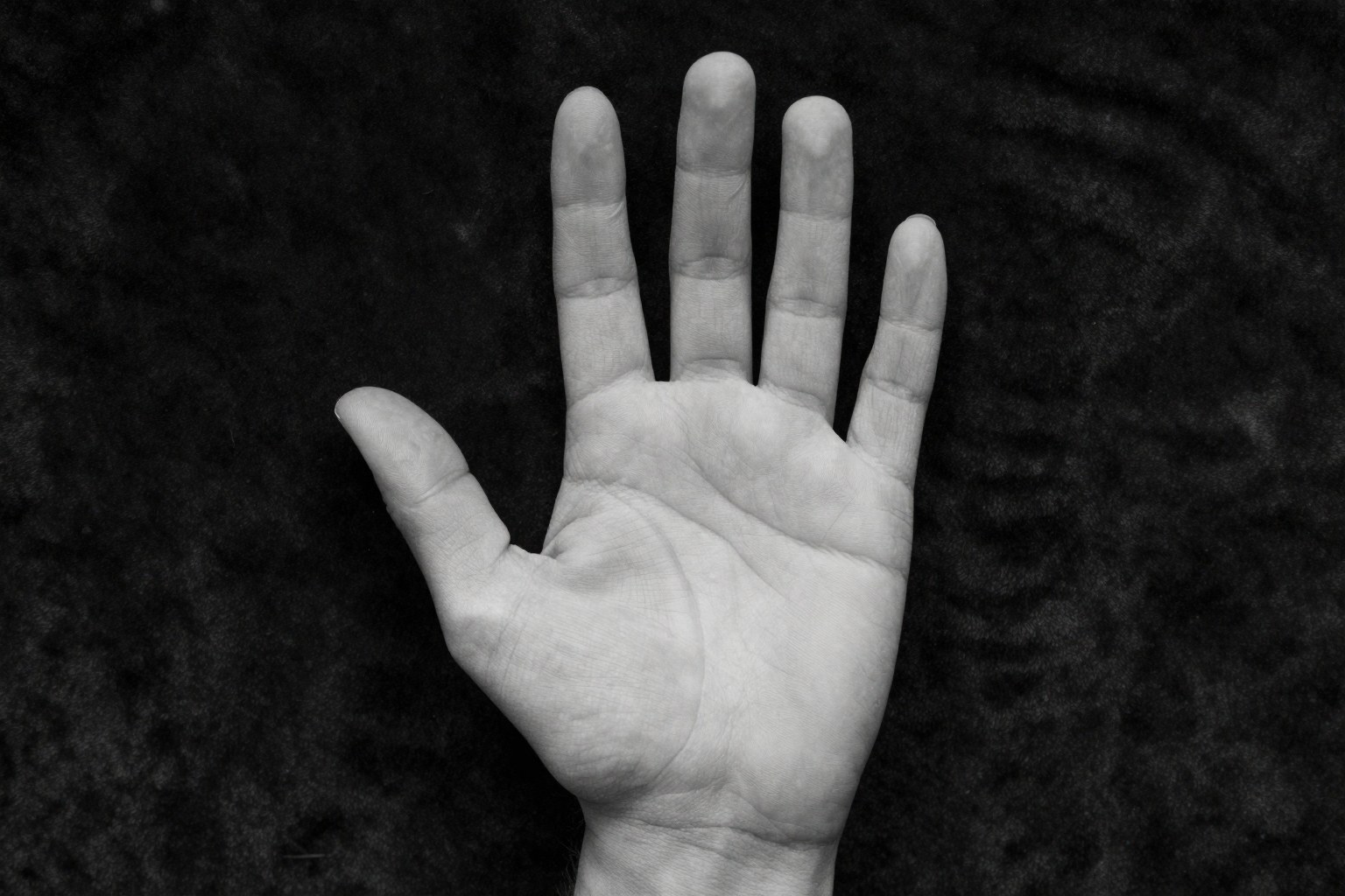 The palm that has been touched