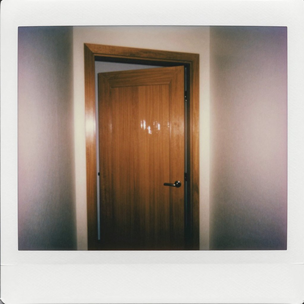 The door