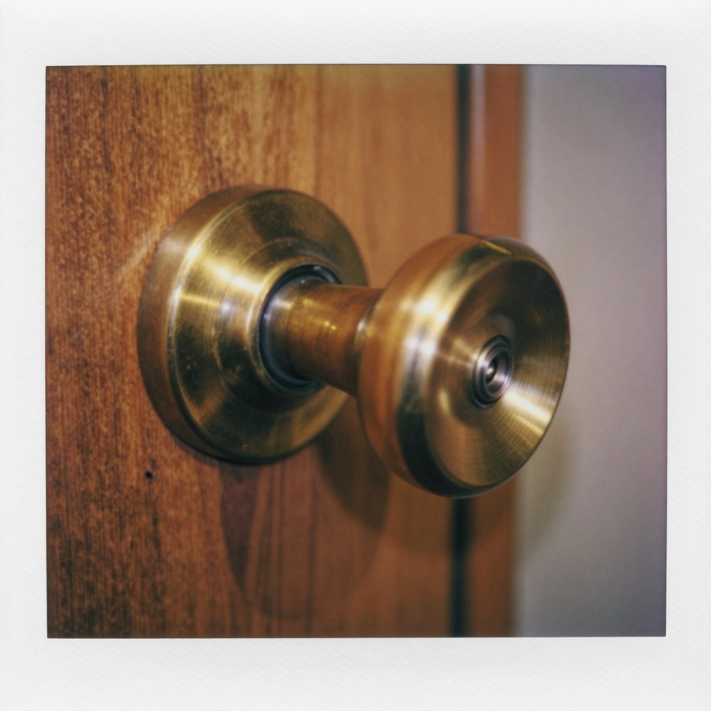 The doorknob